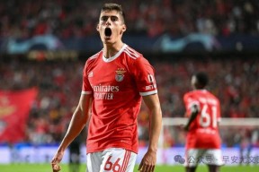 华体会-尤文战平本菲卡,凯恩补时绝平世界杯