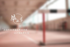 华体会官网-孤星耀世，2026世界杯四分之一决赛，澳大利亚用默契与信念击碎塞尔维亚铁幕