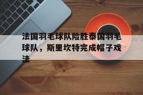 华体会登录-法国羽毛球队险胜泰国羽毛球队,斯里坎特完成帽子戏法的简单介绍