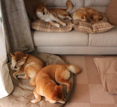 华体会登陆-英超争冠之夜，努涅斯的反向表演何以成就了教科书式胜利？  第2张