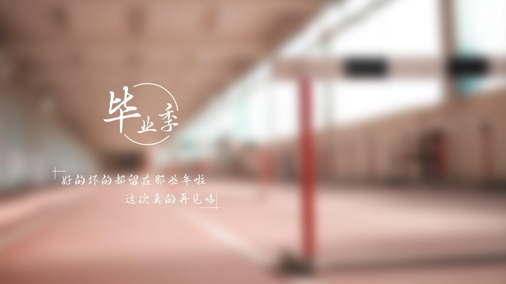 华体会官网-孤星耀世，2026世界杯四分之一决赛，澳大利亚用默契与信念击碎塞尔维亚铁幕  第1张