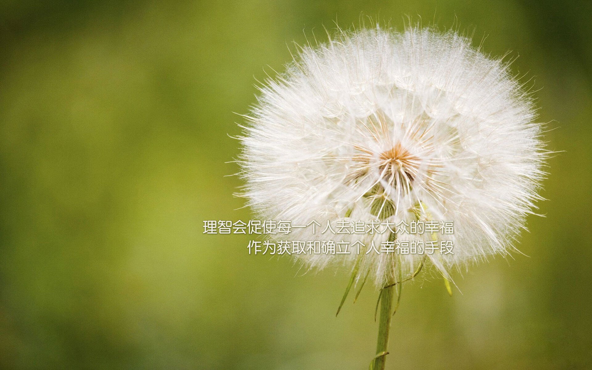 华体会体育-冰与火之歌，2026世界杯D组，维京战吼震碎加勒比海蓝  第2张