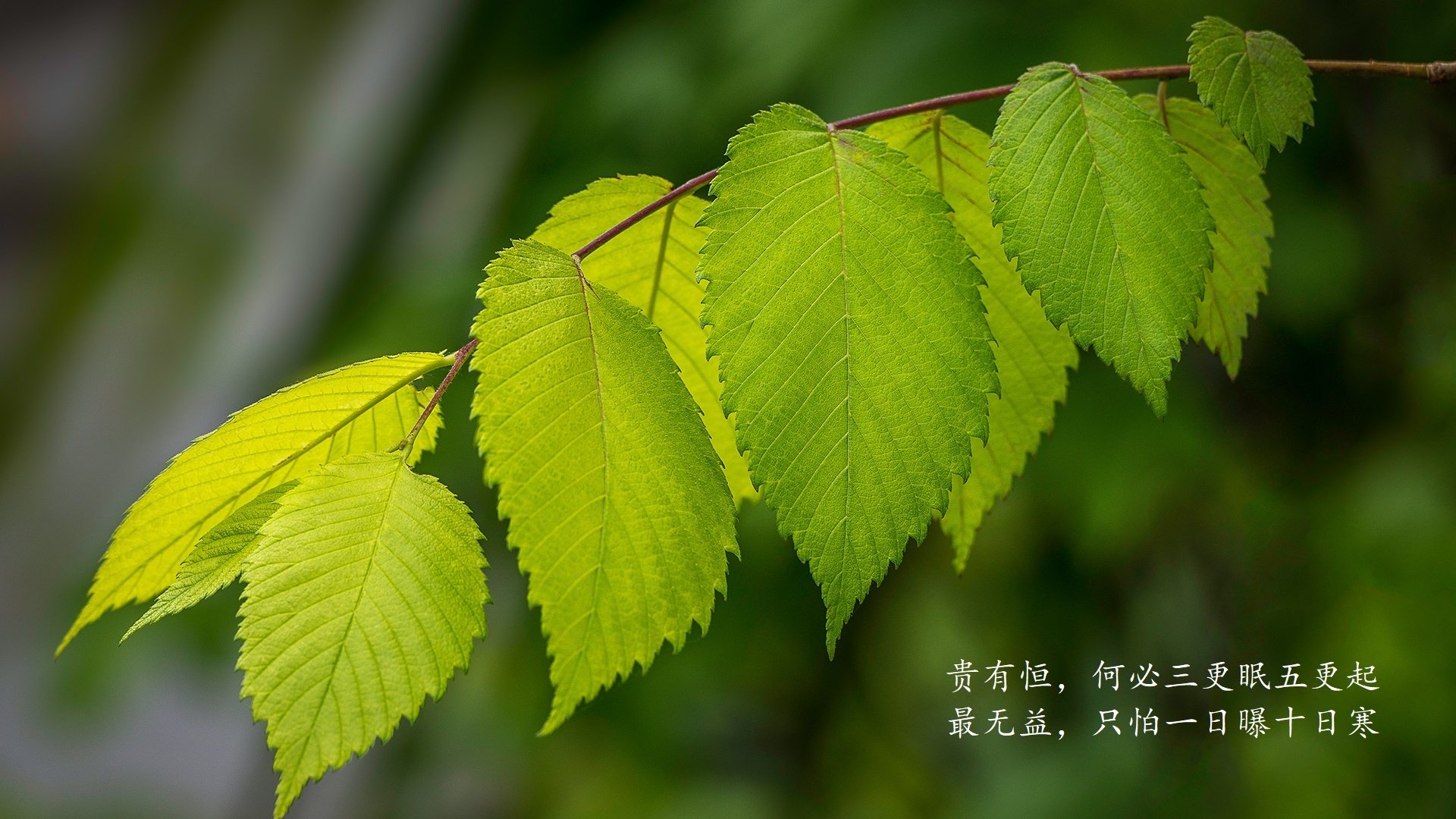 华体会下载-1.关键先生德容，绿茵中场的唯一执棋者 侧重人物，突出德容的战术价值和决定性  第2张